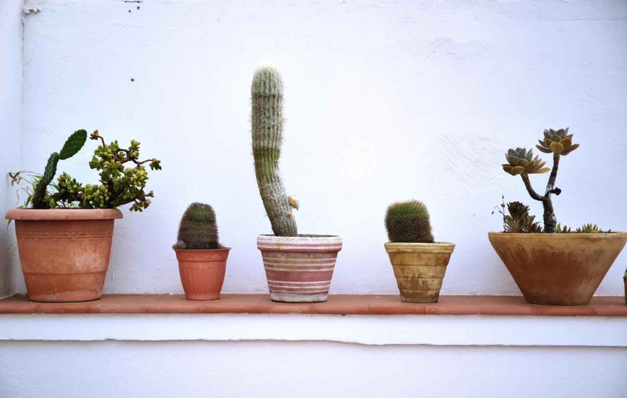 Hitide House Pansiyon GRAN CANARIA Dış mekan fotoğraf